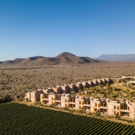 Paradero Todos Santos - Exclusive Experiences Included Екстериор снимка