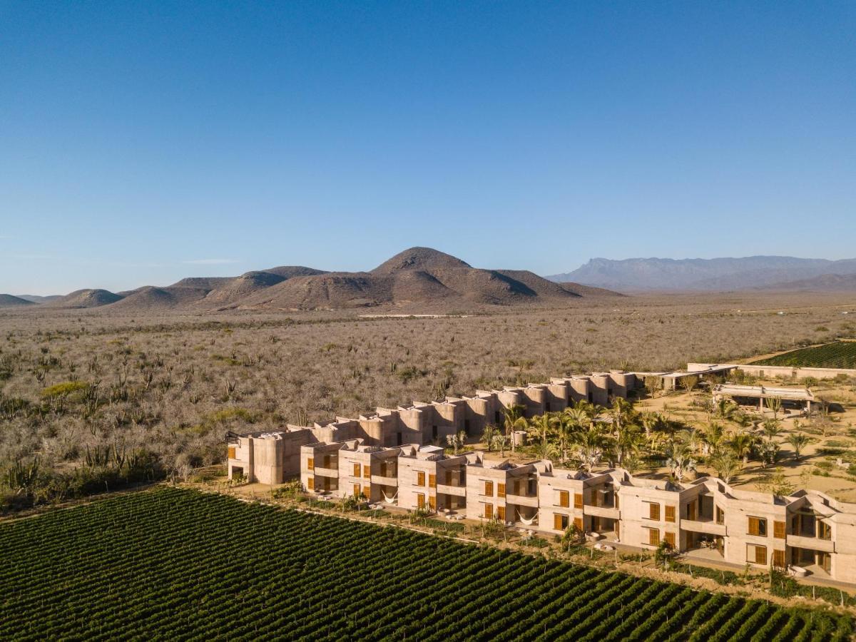 Paradero Todos Santos - Exclusive Experiences Included Екстериор снимка