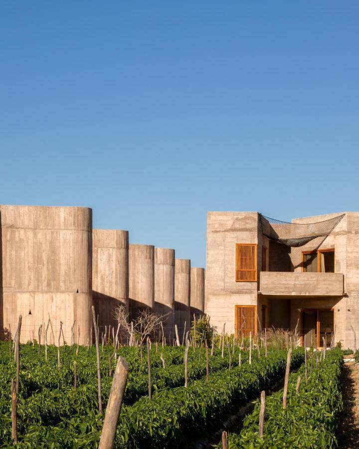 Paradero Todos Santos - Exclusive Experiences Included Екстериор снимка