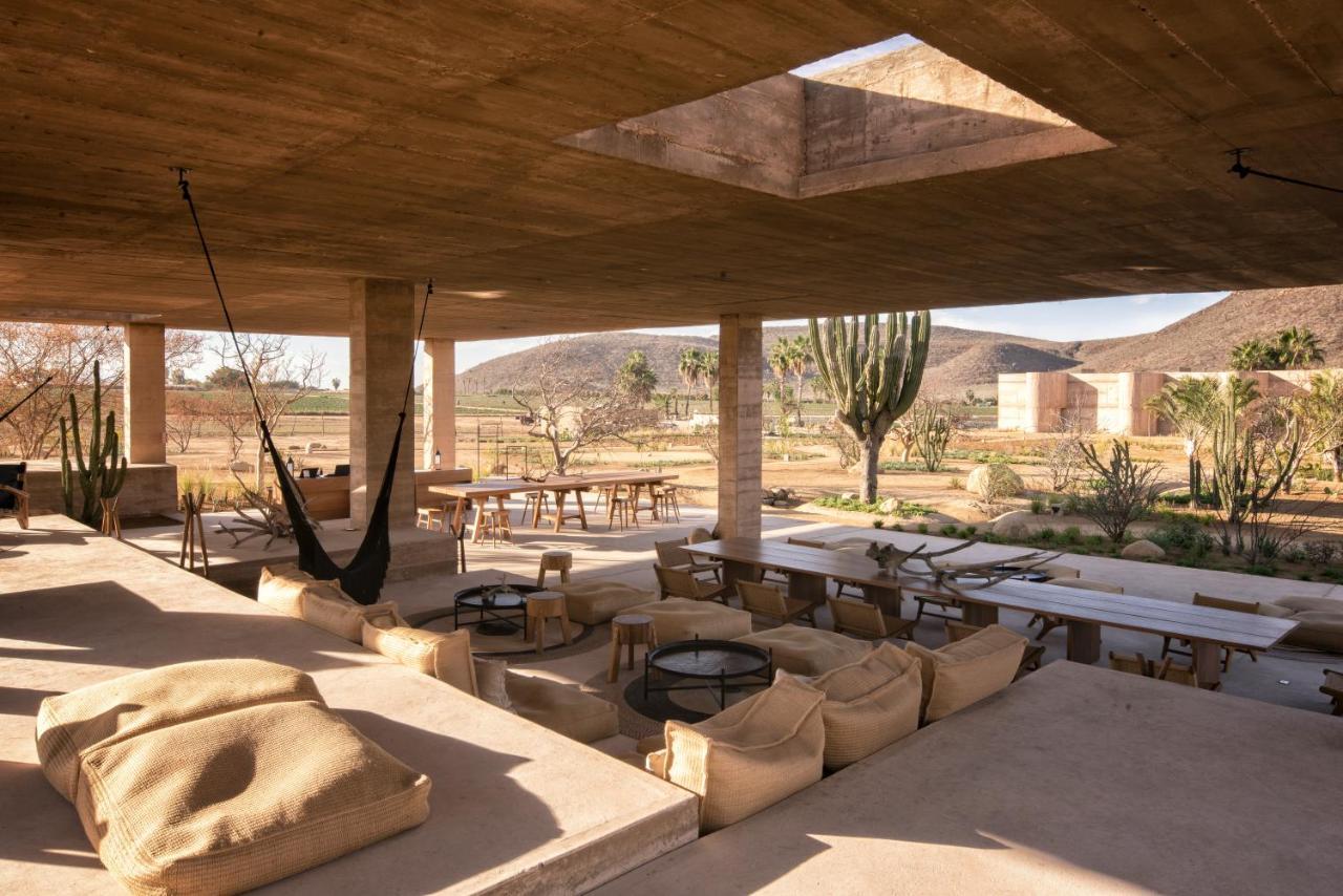 Paradero Todos Santos - Exclusive Experiences Included Екстериор снимка