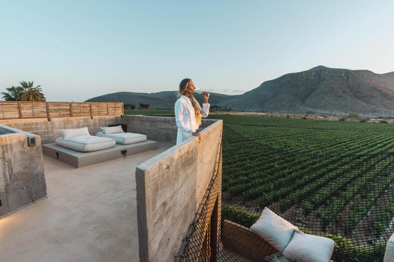 Paradero Todos Santos - Exclusive Experiences Included Екстериор снимка